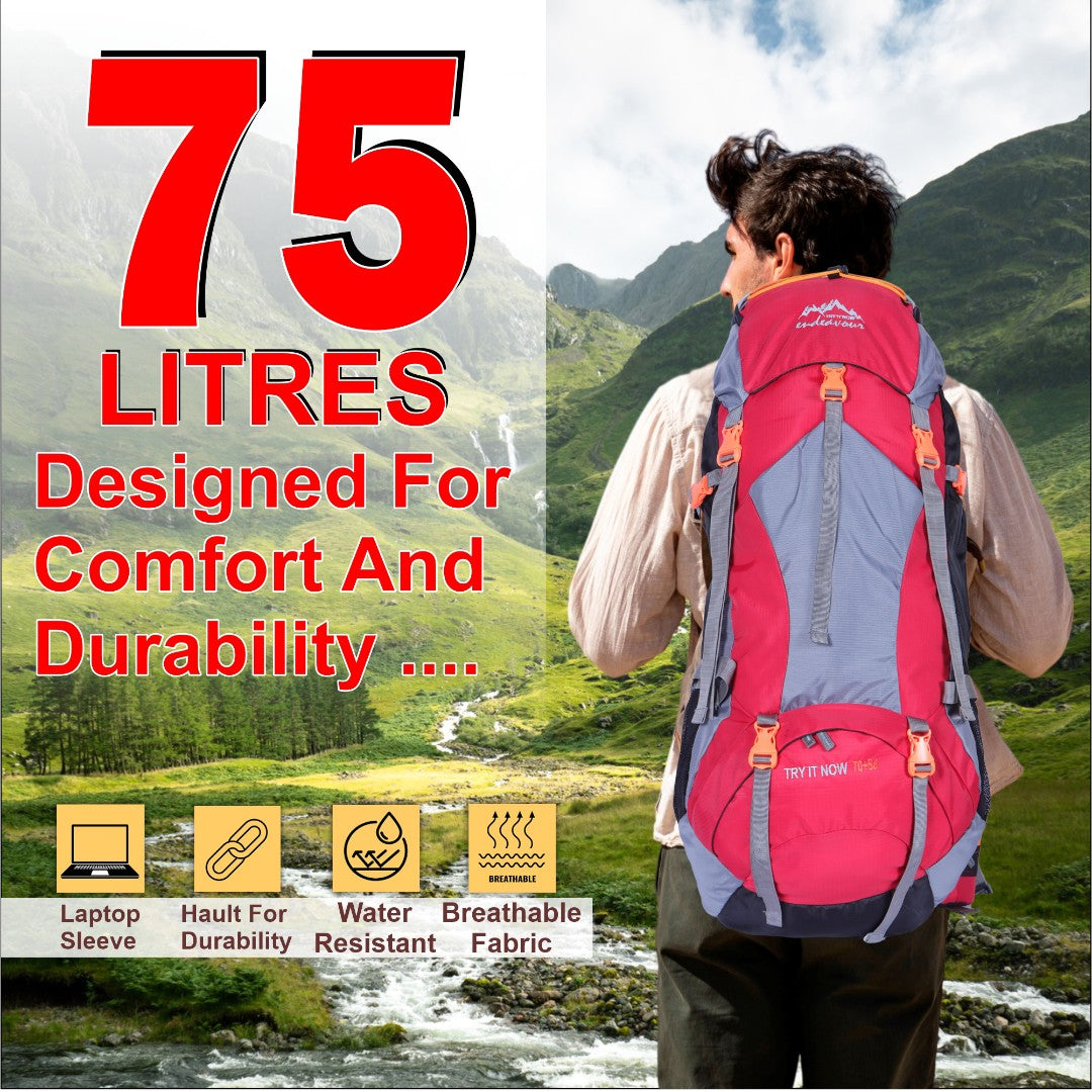 Endeavour Mount Rucksack For Hiking/Camping/Trekking with Rain Cover/Shoe & Laptop Compartment - 75 Ltr